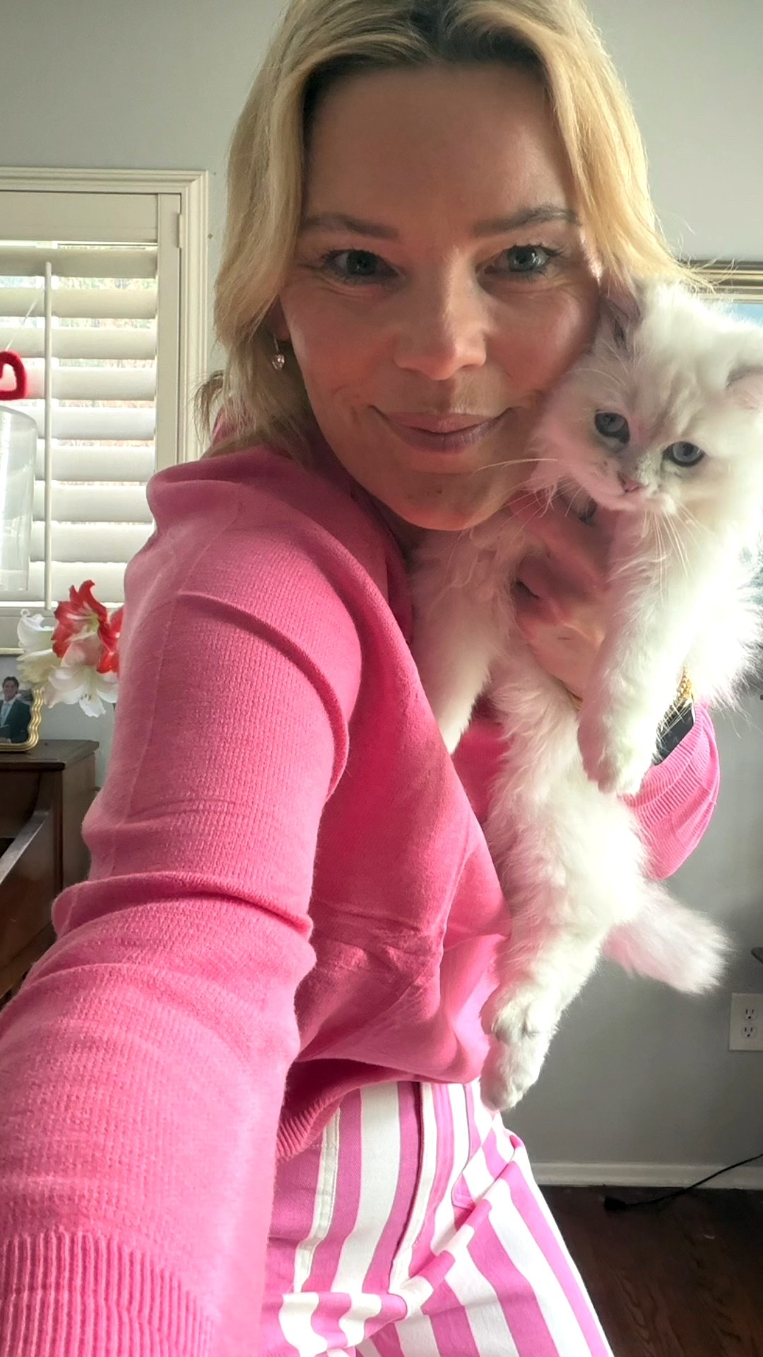 Red, Pinks. Whites. And a Kitty! 
Amazon came through!!! 
All bottoms- size 8 (TTS) 
Tops all medium 
Denim crops- Anthro size 29
Snowball not for sale! 

#LTKOver40 #LTKValentine #LTKWorkwear