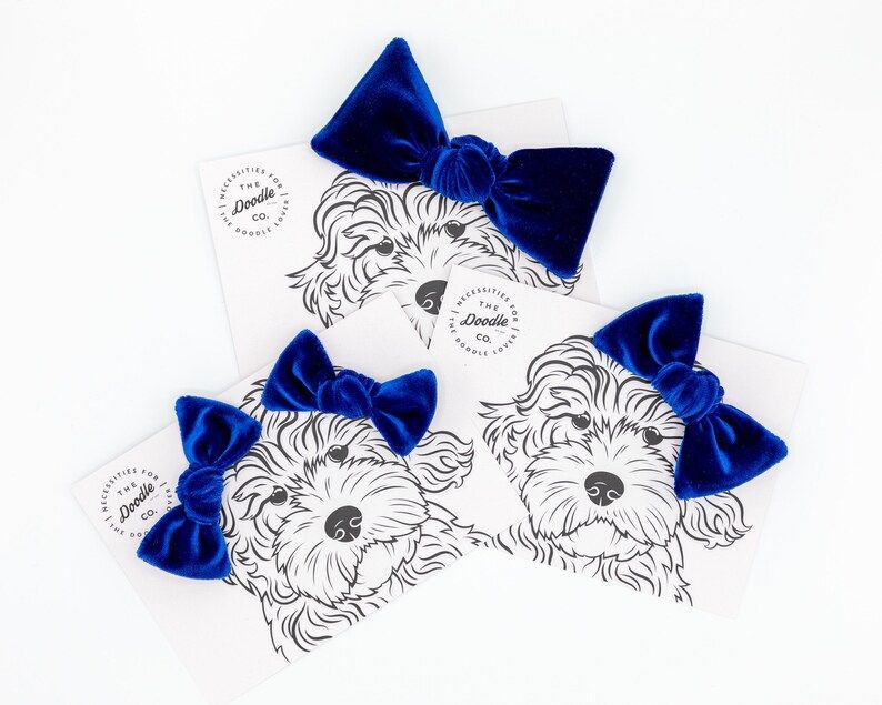 Dog Hair Bows, Goldendoodle Bow, Royal Blue Velvet Dog Bow, Dog Bows | Etsy (US)