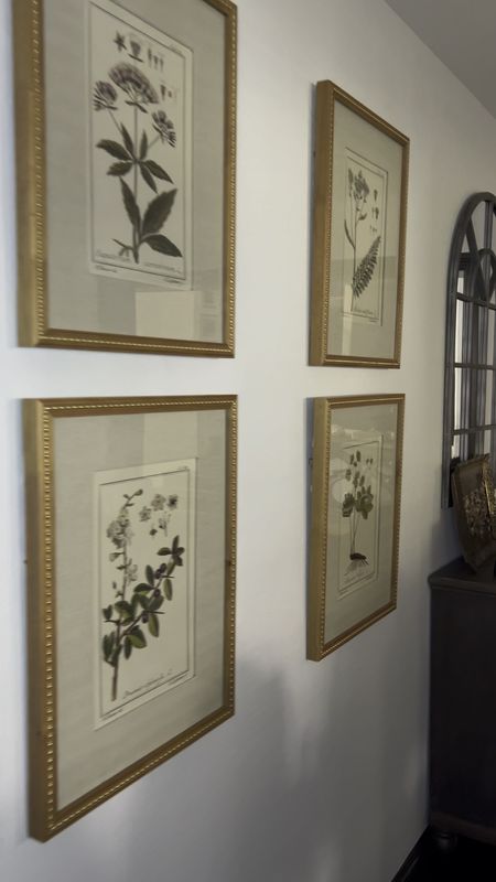 Love these botanical #wallart pieces I got from #wayfair perfect for a dinning area or living area. 

#LTKhome #LTKMostLoved #LTKstyletip