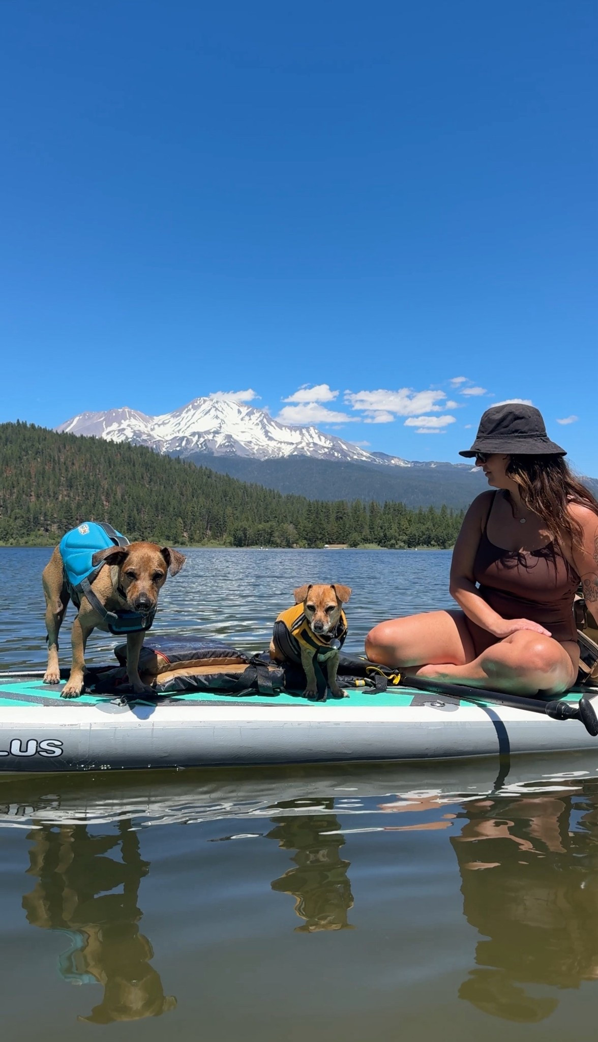 Summer necessities 

#LTKSeasonal #LTKActive #LTKFindsUnder100