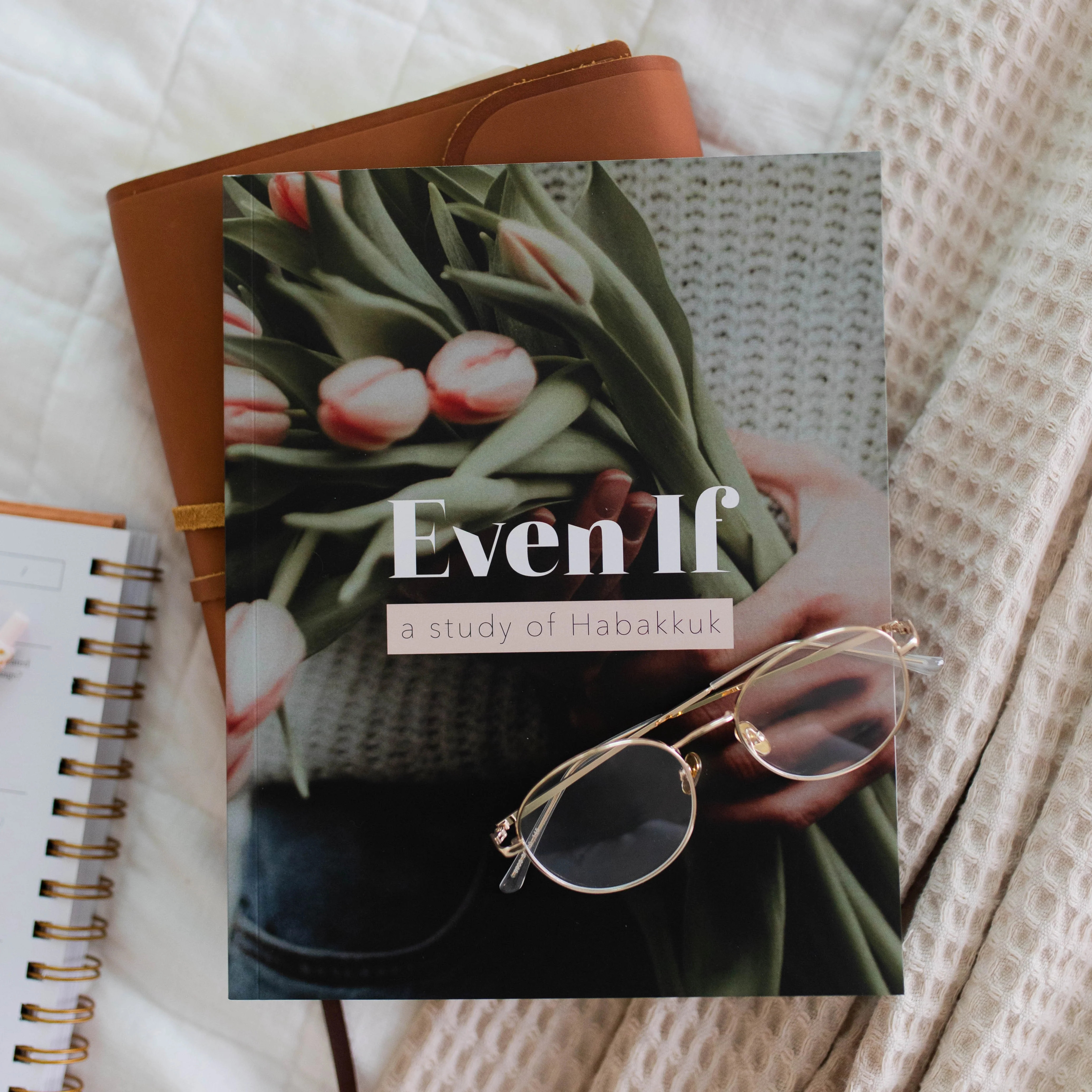 Even If | A Bible Study of Habakkuk | The Daily Grace Co.