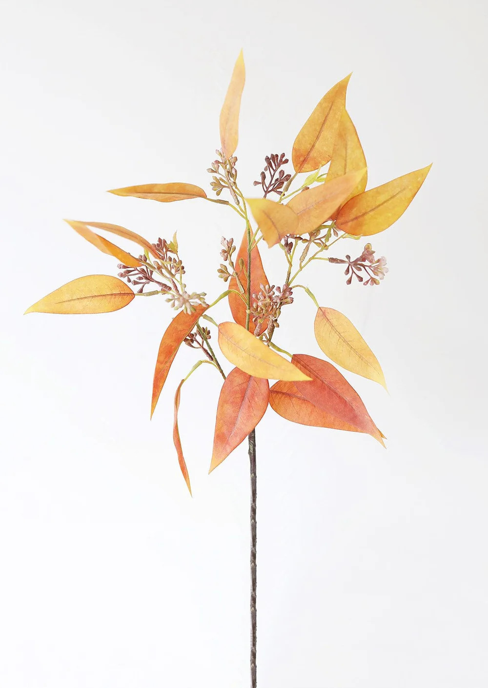 Fake Terracotta Eucalyptus Leaves - 23 | Afloral