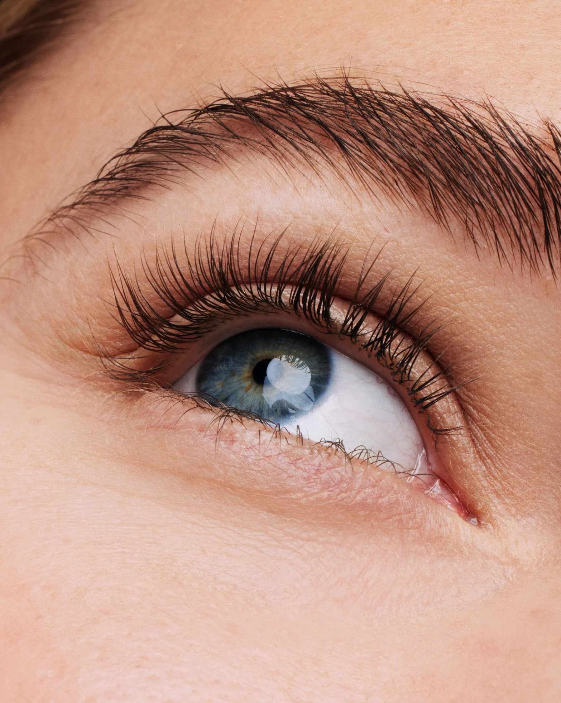 Essential Lash Serum | Babe Original