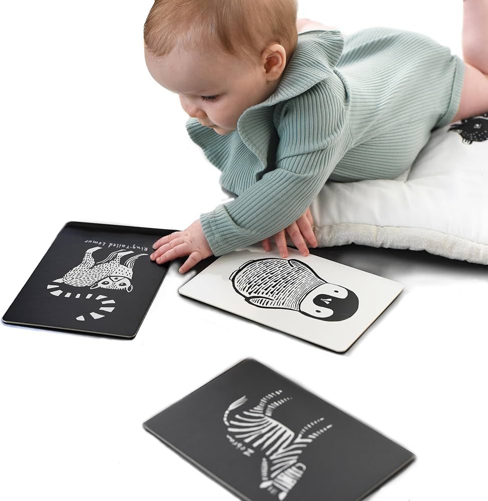 Wee Gallery Black and White Art Flash Cards for Babies, High Contrast Educational Animal Picture ... | Amazon (US)