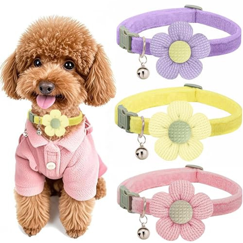 Small Dog Collar with Flower, Puppy Collars XS Dog Collars for Small Dogs with Bell for Girl Boy Little Dog (Pink + Purple + Yellow) | Amazon (US)