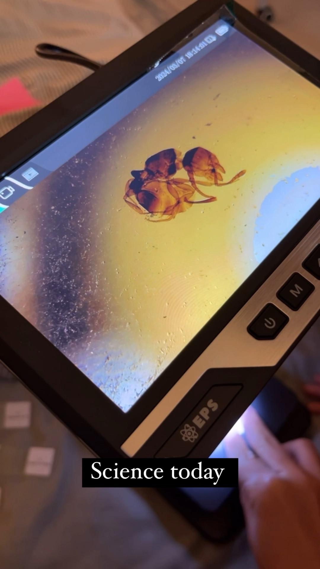 This microscope for kids is so much fun. 🤩 such a fun activity for them to learn and see science at home.


#LTKWatchNow #LTKFamily #LTKKids