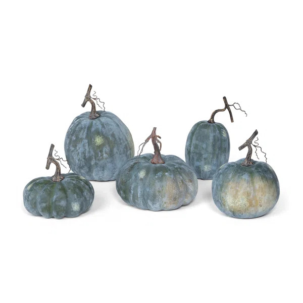 Early Green Pumpkin Collection, Set Of 5 | Wayfair Professional