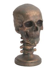 11.5in Resin Skull Head | TJ Maxx