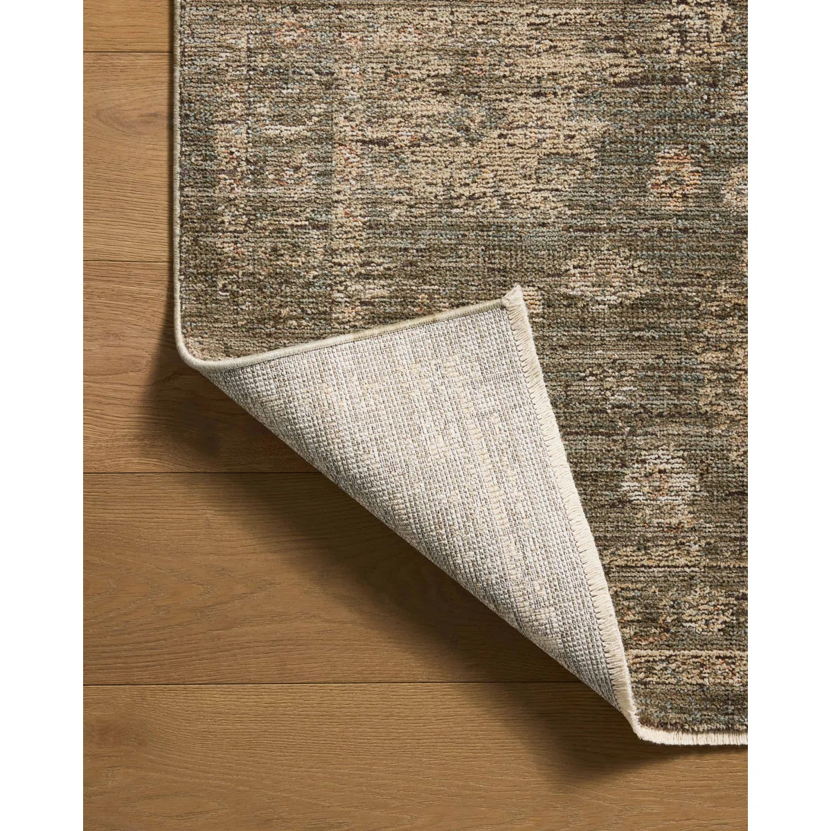 Jacobo Olive / Sand Area Rug | Wayfair North America