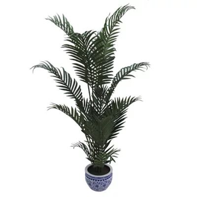W Home 60-Inch Areca Palm in Ceramic Pot | Bed Bath & Beyond | Bed Bath & Beyond