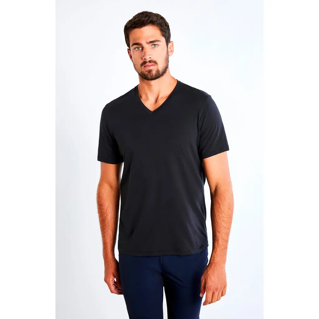 Anatomie Vince V-Neck T-Shirt in Black at Nordstrom, Size Small | Nordstrom