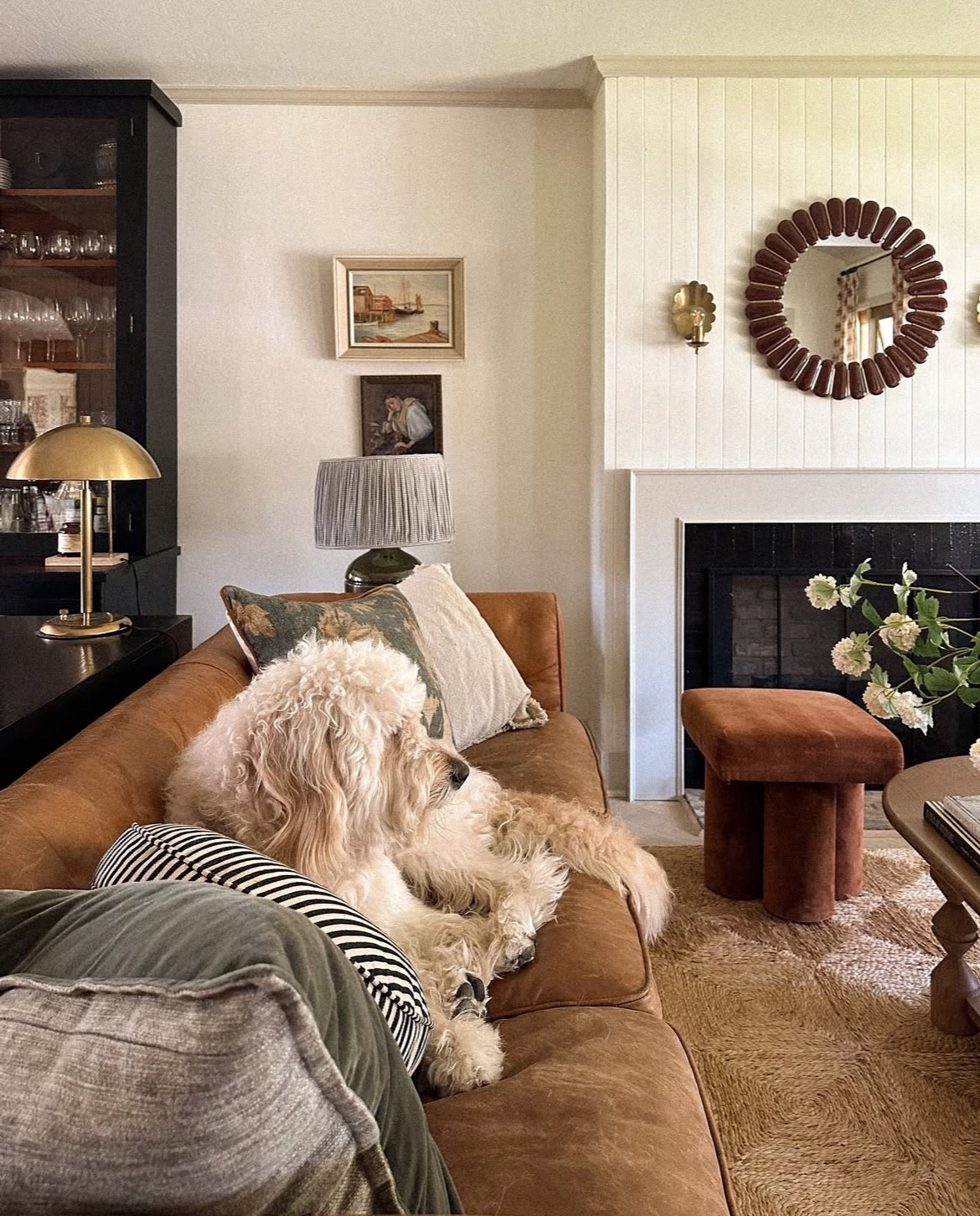 Pisco’s favorite spot 

#LTKHome #LTKFamily #LTKFindsUnder100