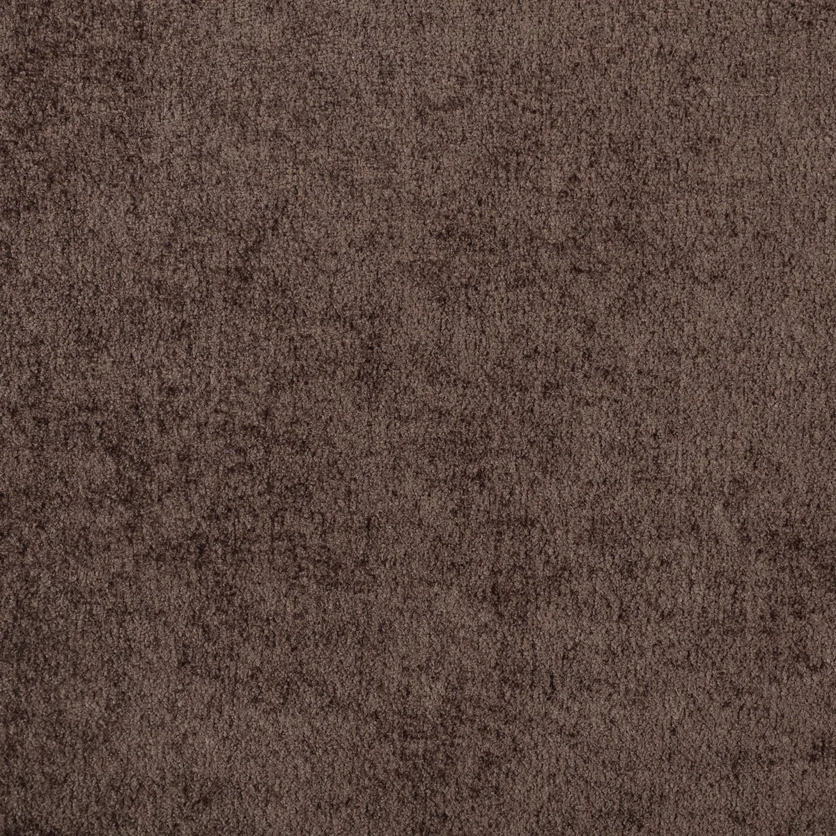 Jadeth Chenille Fabric Bed | Wayfair North America