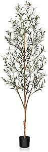 Kazeila Artificial Olive Tree 6FT Tall Faux Silk Plant for Home Office Decor Indoor Fake Potted T... | Amazon (US)
