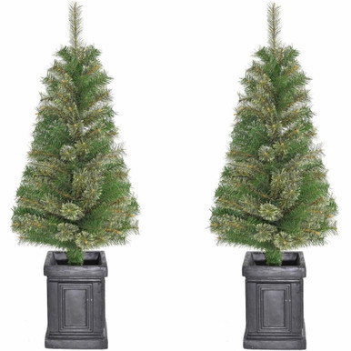 Set of 2, Porch Accent Tree in Black Pot, | Fraser Hill Farm