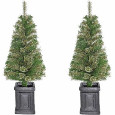 Set of 2, Porch Accent Tree in Black Pot, | Fraser Hill Farm