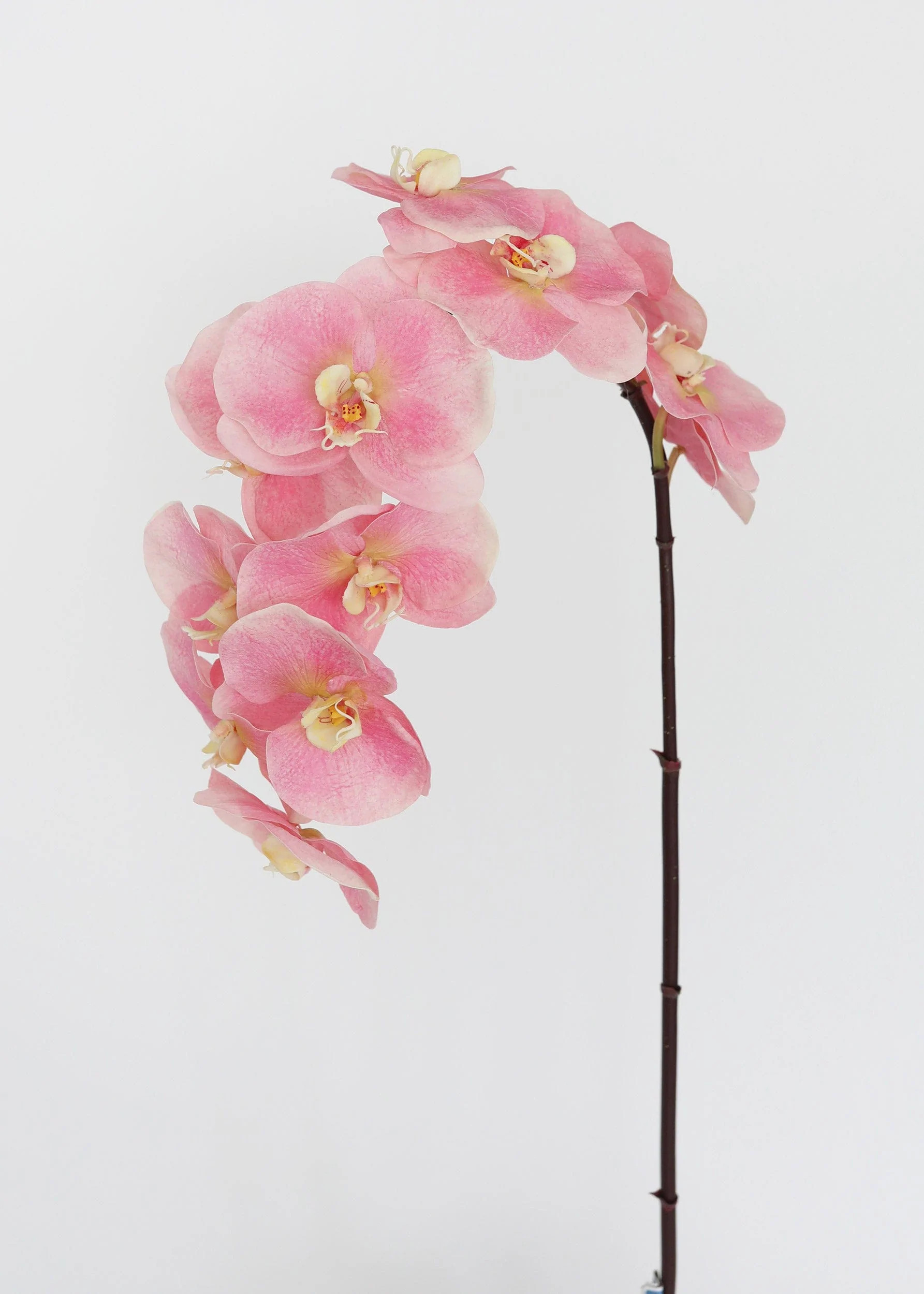Large Pink Real Touch Fake Orchids - 44" | Afloral