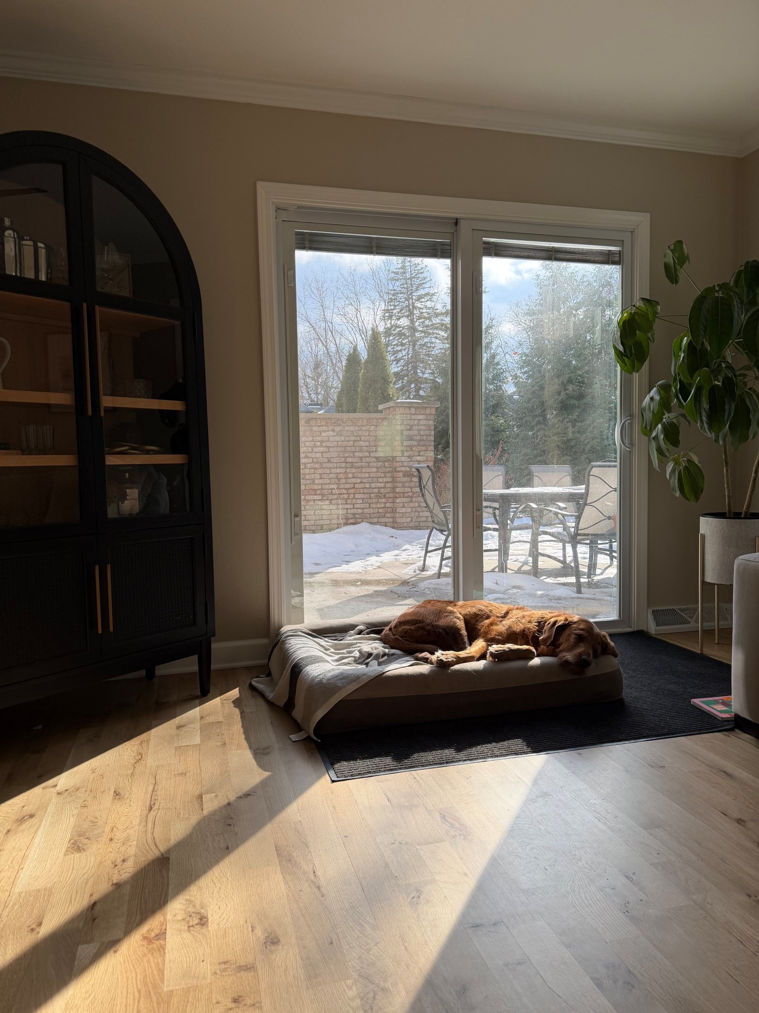 Best washable dog bed! 

#LTKmomlife #LTKHome #LTKKids