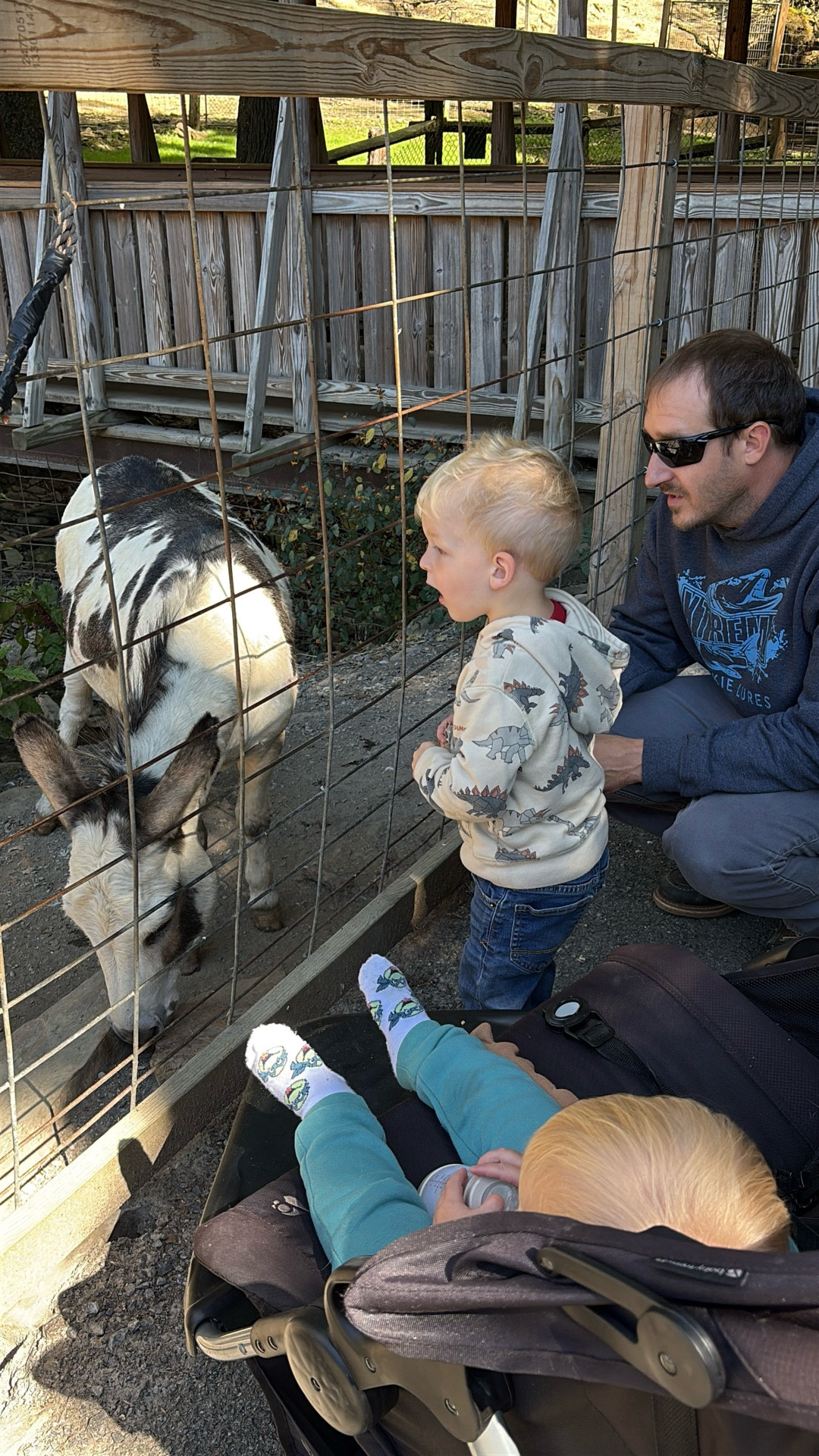 The zoo with two toddlers was SO much more fun (and less chaotic) than I thought it would be!! Definitely doing season passes next year!! 

#LTKFamily #LTKKids