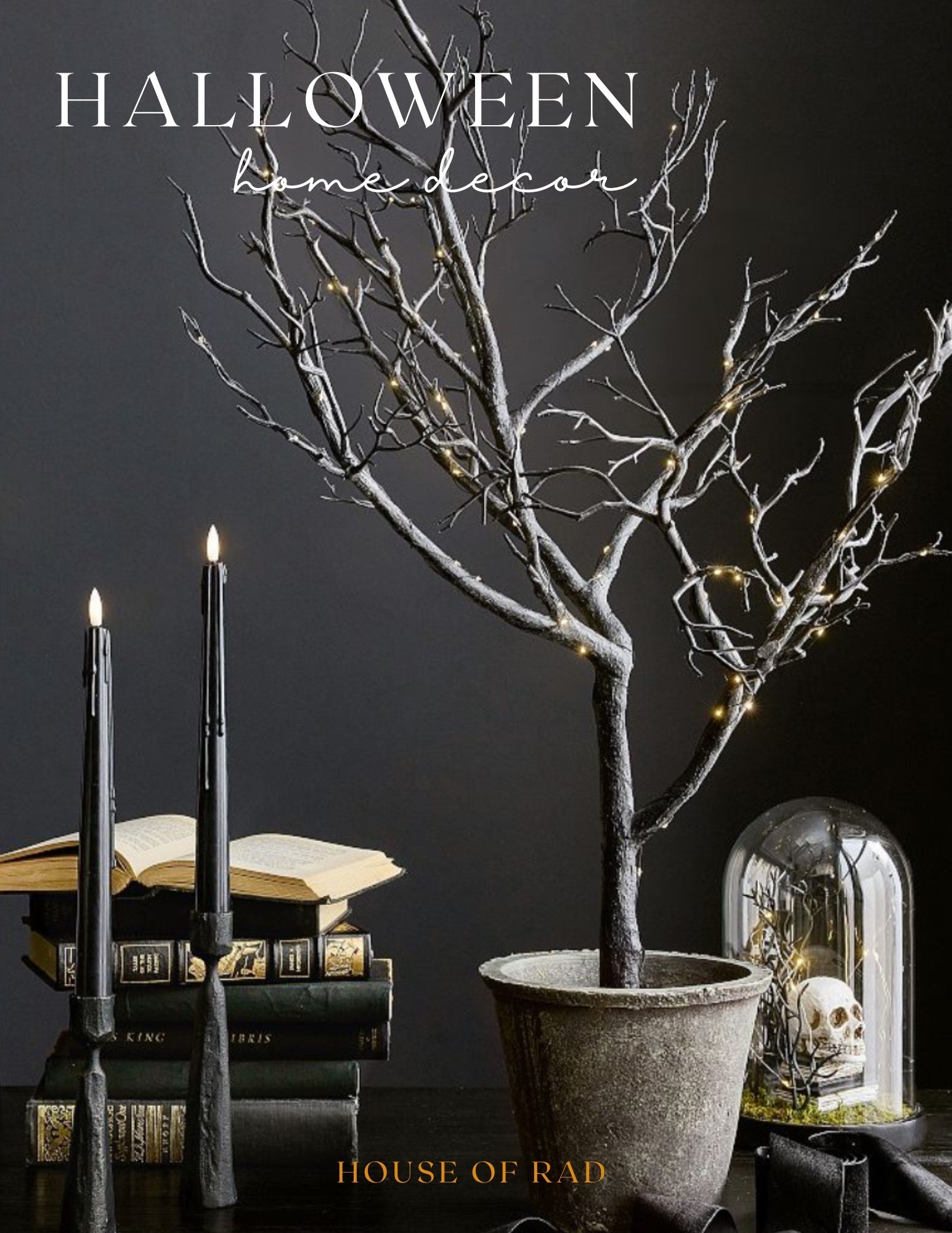 Halloween Home Decor
Halloween cloche
Black taper candles
Skull
Skeleton
Fall home decor
Potted lighted tree
Led tree


#LTKSeasonal #LTKHome