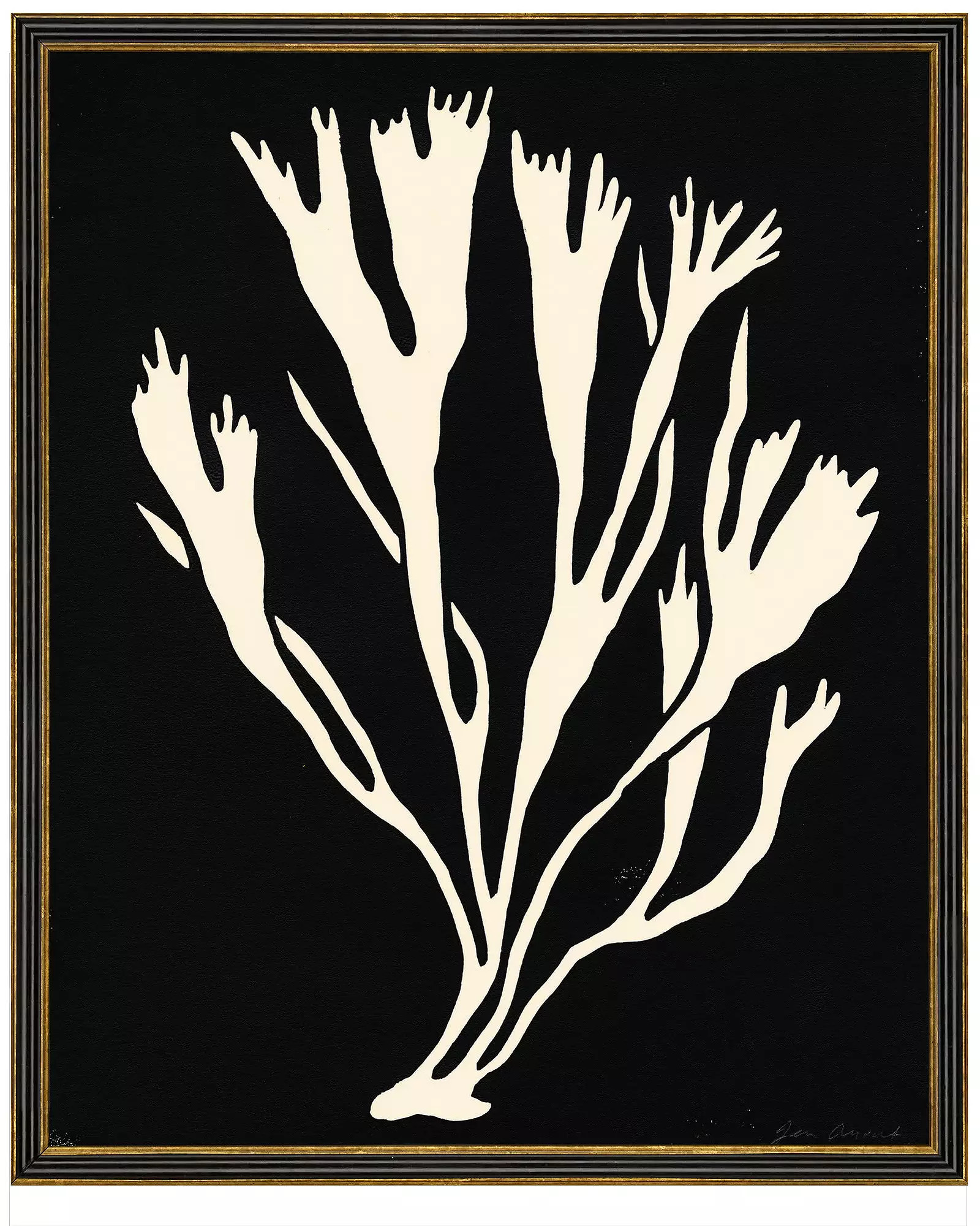 Underwater Plantlife 12 by Jennifer Ament | Serena and Lily