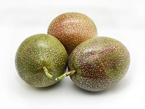Amazon.com: Melissa's Fresh Passion Fruits, 1 Dozen : Grocery & Gourmet Food | Amazon (US)