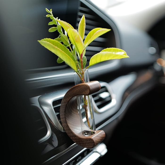Car Dashboard Decorations - Propagation Vase Vent Clip for Fresh/Dried Flowers, Plant Cuttings, C... | Amazon (US)