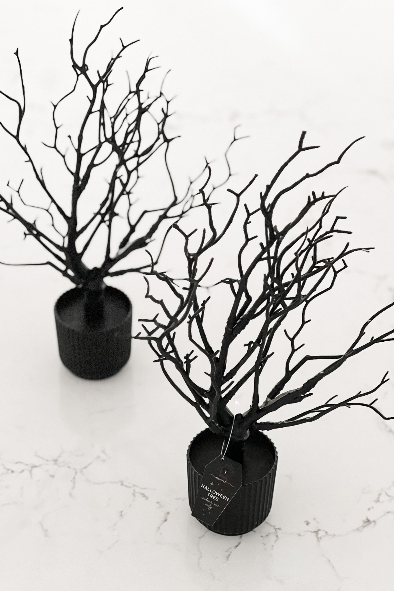 So excited to have found these little spooky #LTKHalloween trees at Target in Bullseye’s Playground. I would love to link directly to them, but things from that “dollar section” aren’t available to be linked so I’ve rounded up a few other options! 🐦‍⬛🦇🕸️🕷️

#LTKhome #LTKSeasonal