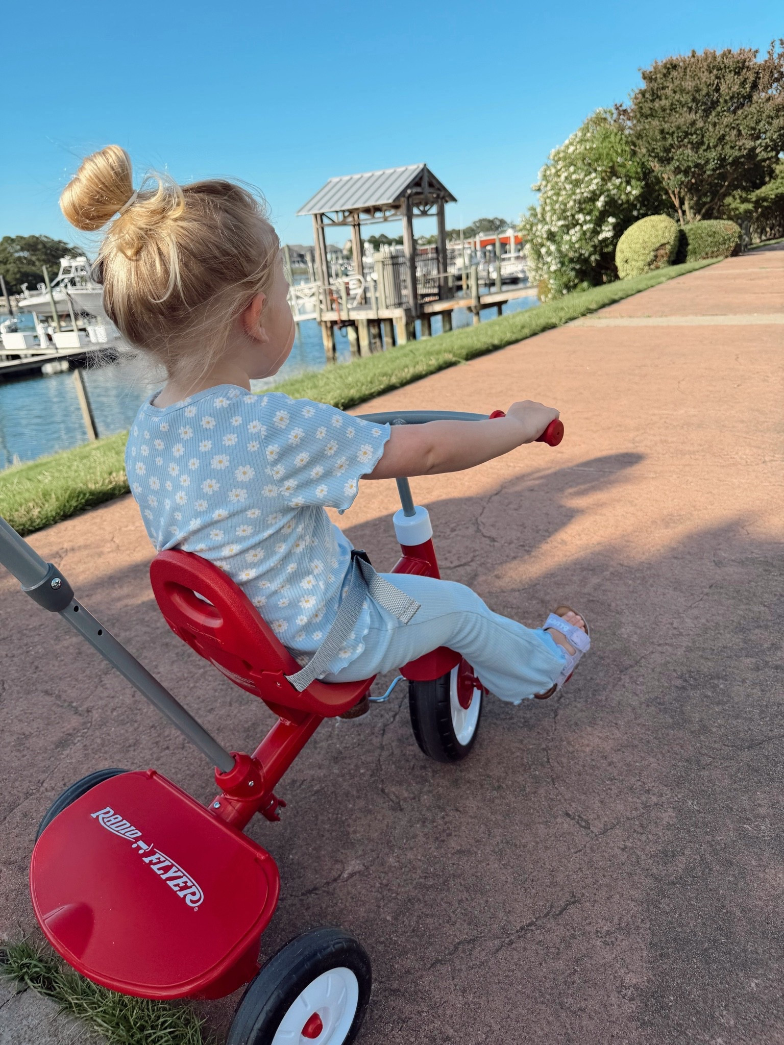 Radio flyer tricycle 
Toddler gift
Tricycle with handle 
Walmart finds
Walmart sale

#LTKdayinmylife #LTKmomlife #LTKKids