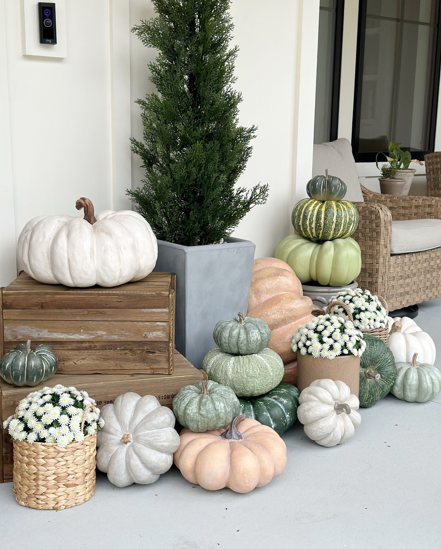 Many of my favorite faux pumpkins are back!  Love this time of year at TJ, HomeGoods, Marshalls, etc!  So many cute fall pieces, I’ll be sharing as I see them up until we start decorating in September 🍁🍂

#LTKFindsUnder50 #LTKSeasonal #LTKHome