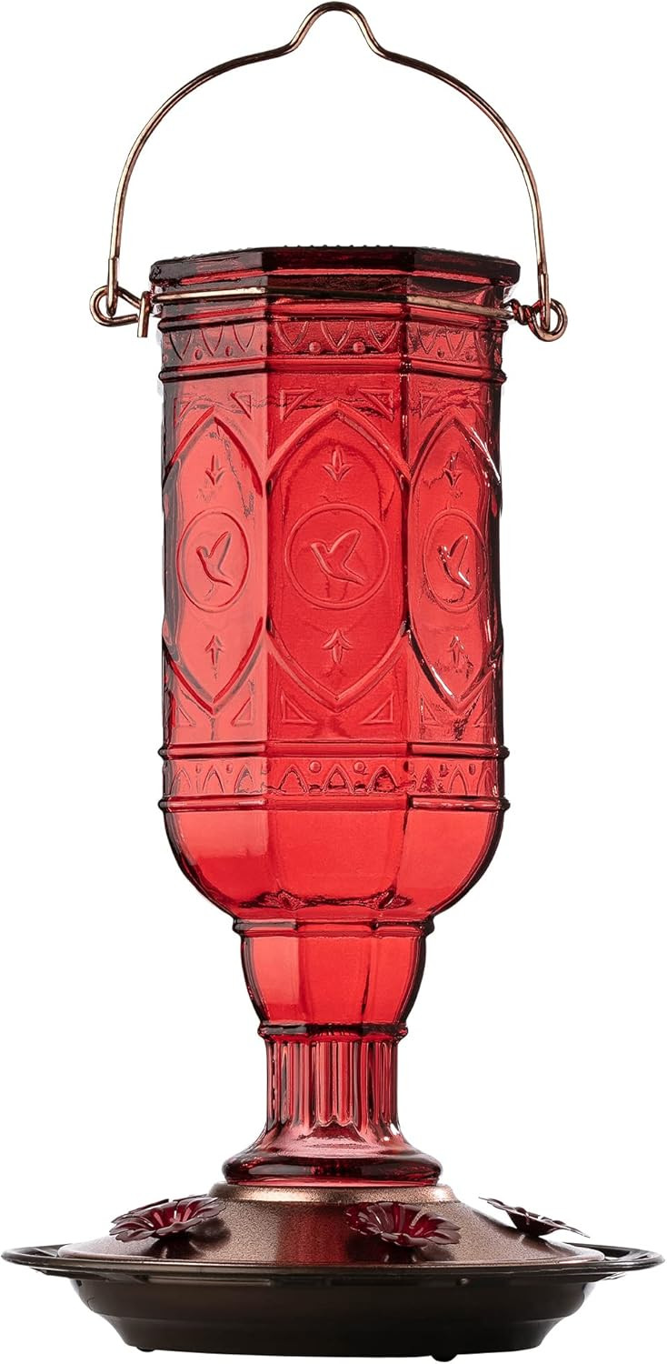 More Birds Red Jewel Hummingbird Feeder, Glass Hummingbird Feeders for Outdoors, 5 Feeding Statio... | Amazon (US)