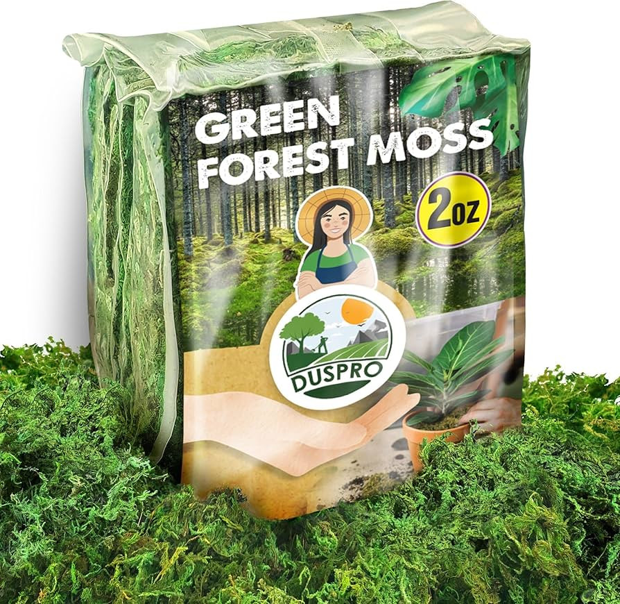 Duspro Green Moss for Crafts Decorative Moss Filler for Planters Moss Decor Artificial Table Cent... | Amazon (US)