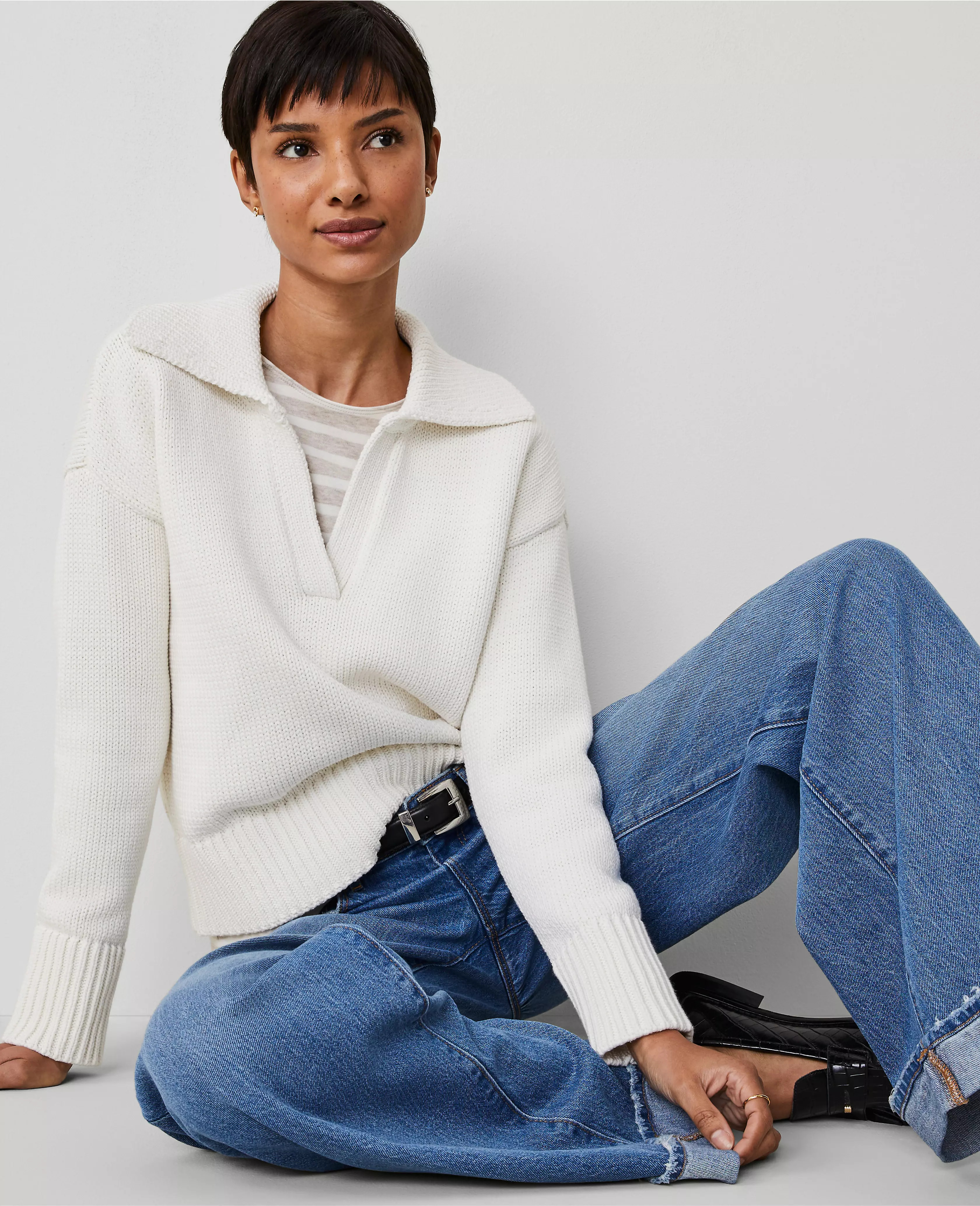 Petite Collared Sweater | Ann Taylor (US)