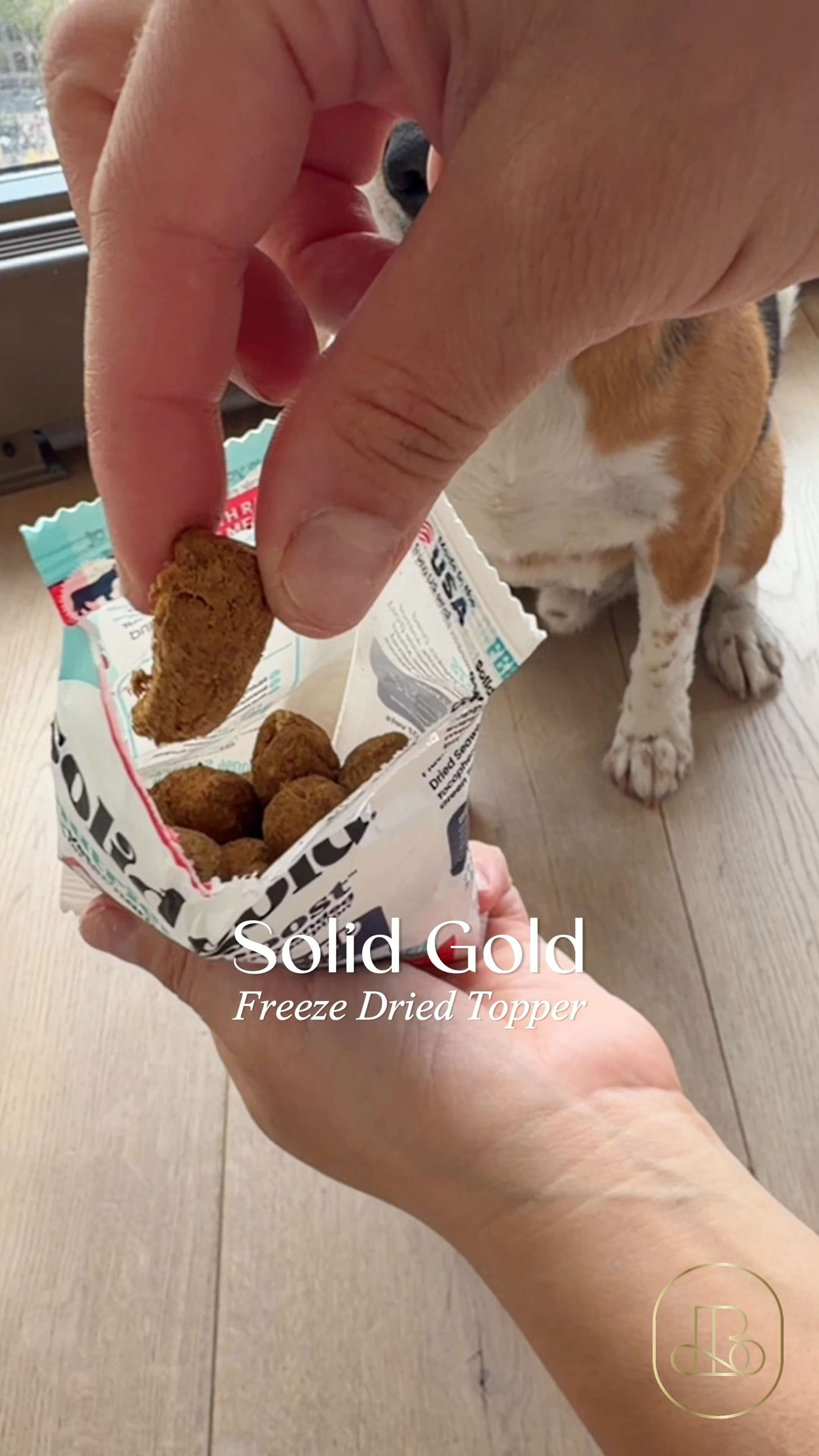 Recalibrate your pet’s bowl with an infusion of raw, concentrated vitality! This Solid Gold Freeze-Dried Topper utilizes a low-temperature preservation process to lock in essential enzymes and amino acids that traditional kibble might miss 🐕  It is the definitive acquisition for those who demand industrial-strength quality that makes sophisticated pet care feel entirely organic! 🥩 #CanineNutrition #BiohackingPets #RawFeeding #CleanLabel #PantryRefinement #MinimalistPet #PetPerformance  

#LTKHome