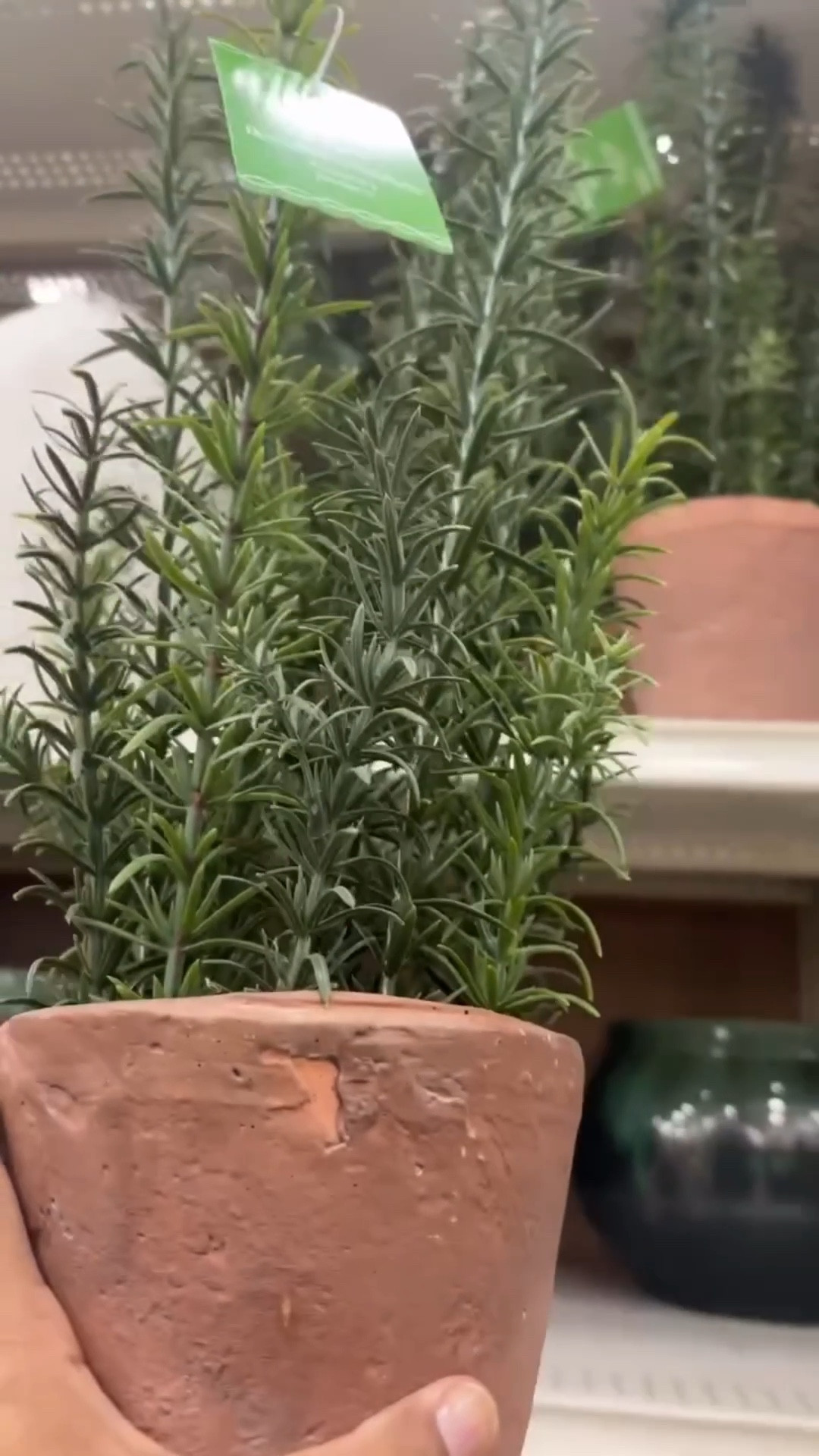 Estos finds de Michaels son perfectos para decorar en primavera🌸

Me encanta cómo los tonos neutros y las texturas naturales elevan cualquier espacio🤍. Y estos tallos, flores y detalles neutros son un sueño. Perfectos para darle vida a cualquier rincón 🪴🌿🌸

👉 Comenta “links” y te los envío
👉 Links en mi ShopMy y LTK ✨

#homedecor #homeinspo  #springdecor  #springstems #explorepage✨

#LTKValentine #LTKHome #LTKSeasonal