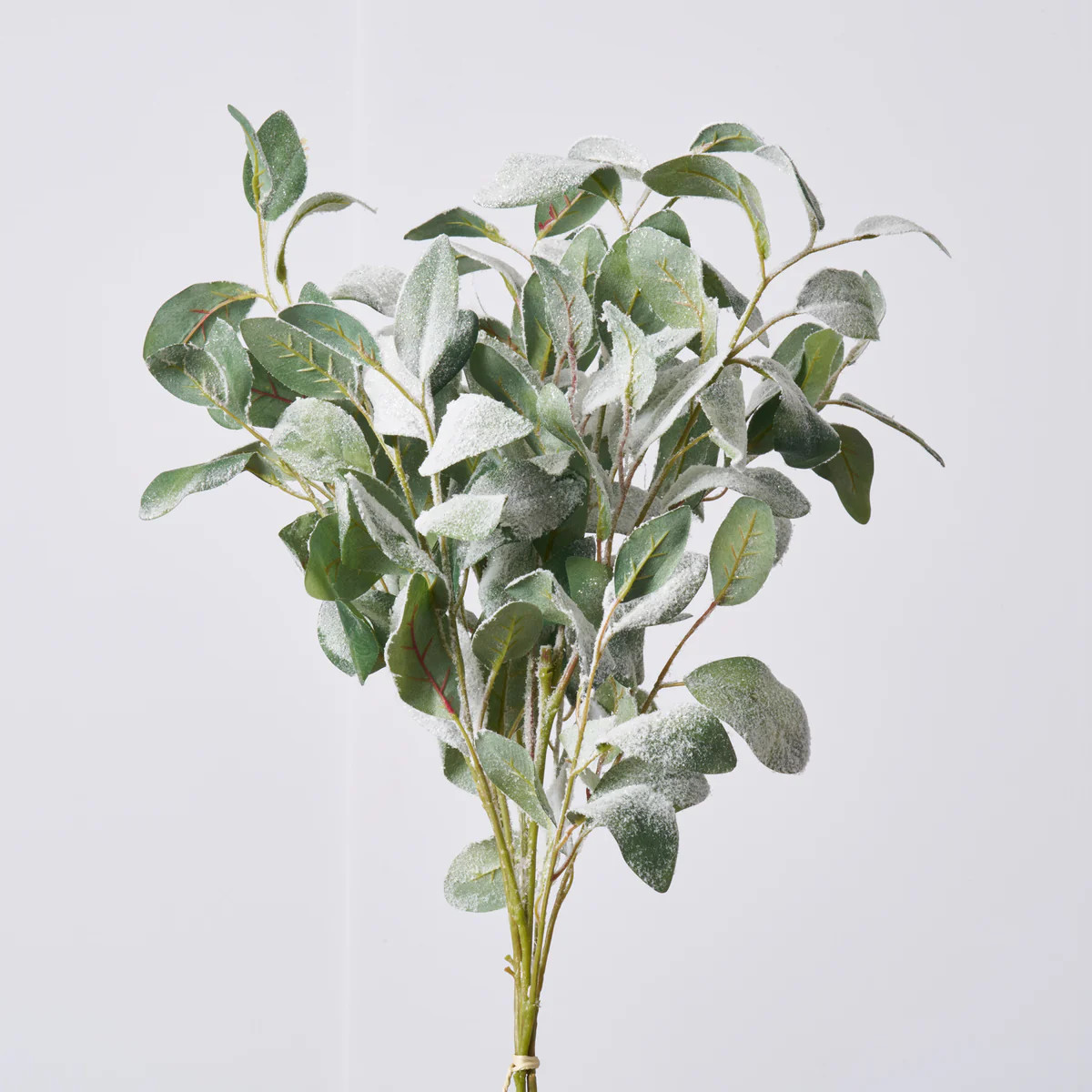 Snowy Glittered Tipped Faux Lemon Leaf Greenery Bundle of 3 Stems - 36" | Darby Creek Trading