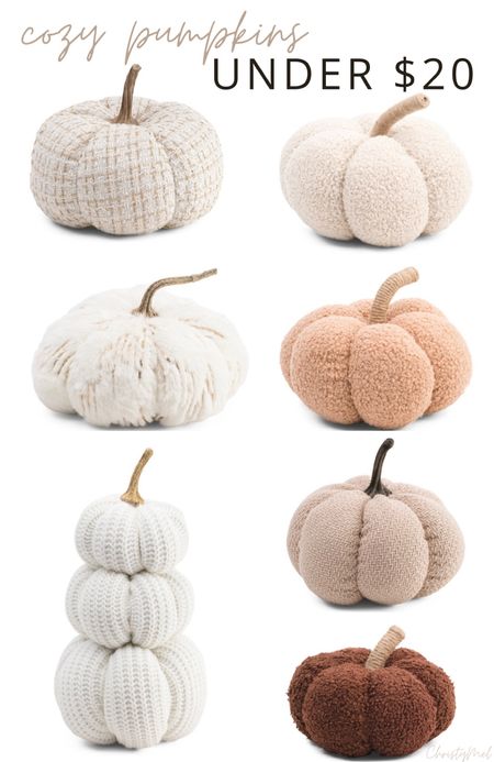 Prettiest Cozy Pumpkins all Under $20  #falldecor2022 

#LTKSeasonal #LTKunder50 #LTKhome