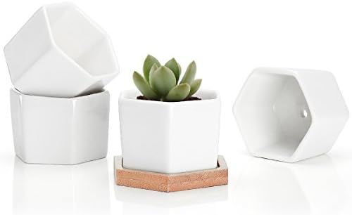 Succulent Plant Pots - 2.76 Inch Small Ceramic Hexagon Planter Containers for Flowers or Cactus w... | Amazon (US)