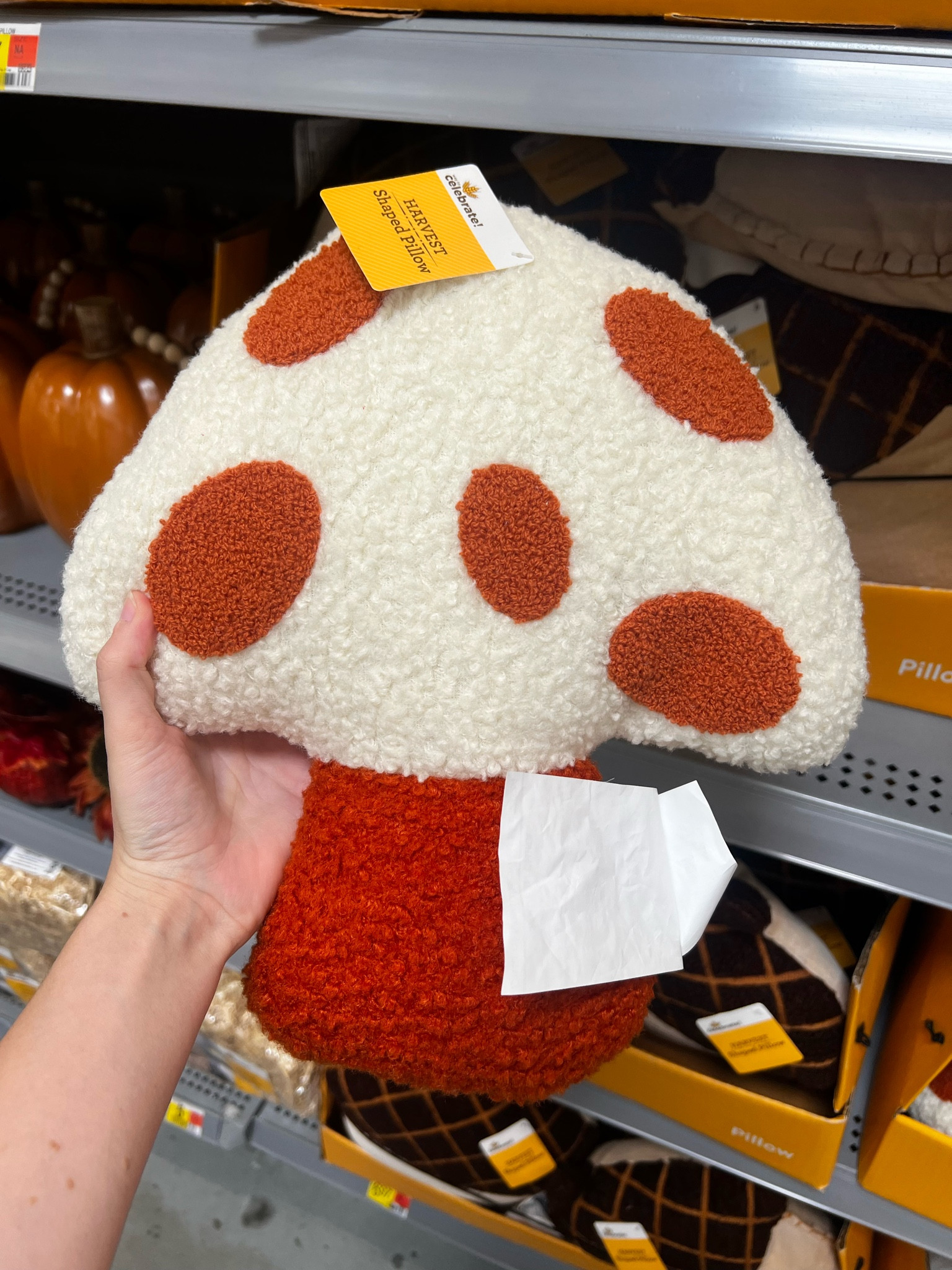 Fall throw pillows from Walmart! 
Walmart home, home decor, fall home finds, throw pillows, accent pillows, mushroom pillow, pumpkin pillows, pottery barn inspired, looks for less, save vs splurge, Halloween, fall vibes, living room decor, couch throw pillows, Walmart home fall

#LTKSeasonal #LTKFindsUnder50 #LTKHome