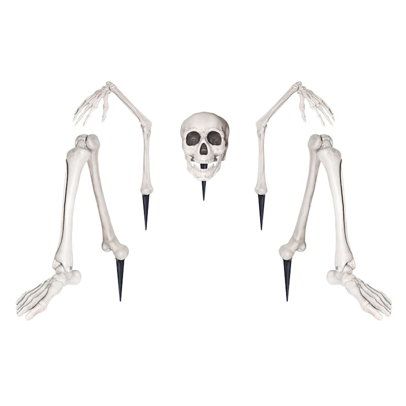 Life-Size Groundbreaker Skeleton | At Home