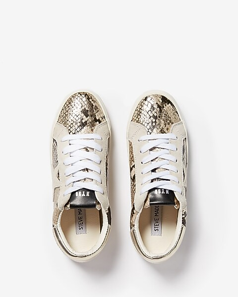 Steve Madden Philosophy Sneakers | Express