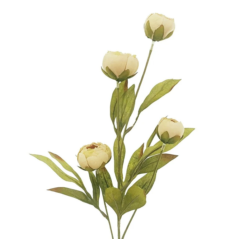 Tan Peony Stem by Ashland | Walmart (US)