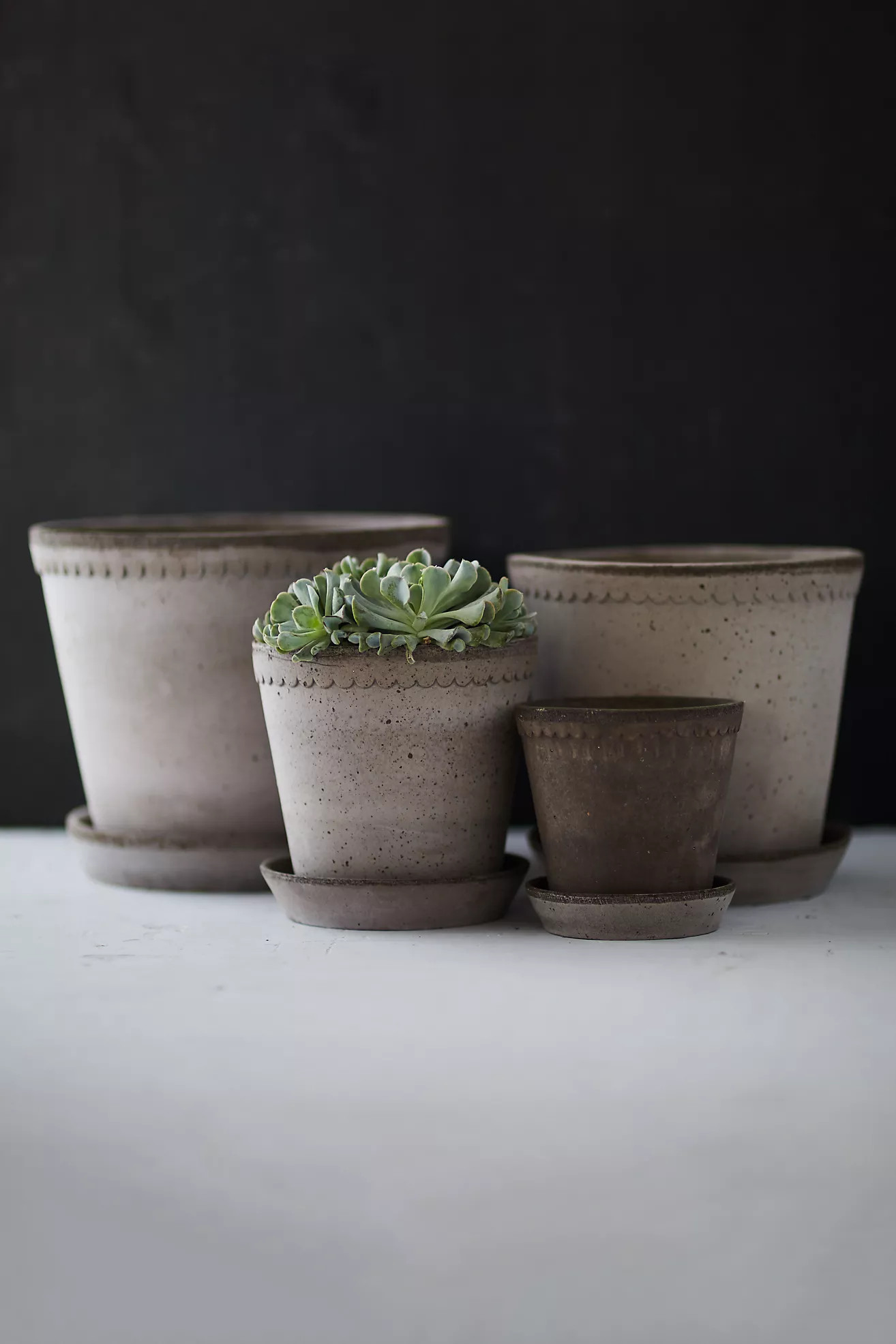 Bergs Scallop Pot + Saucer Set | Anthropologie (US)