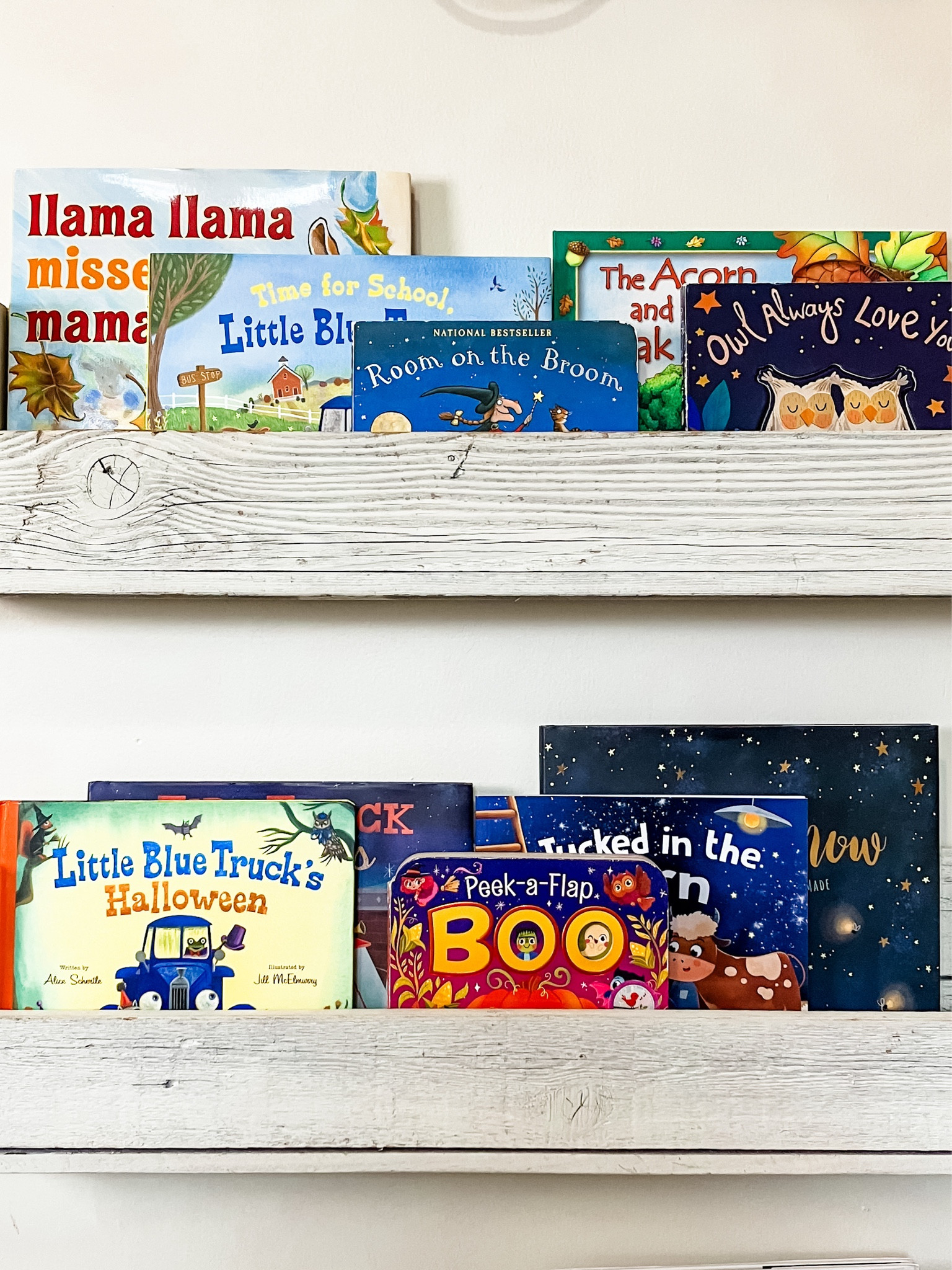 My son’s favorite Fall books! All kid approved 🤍

#LTKKids #LTKHome #LTKFamily