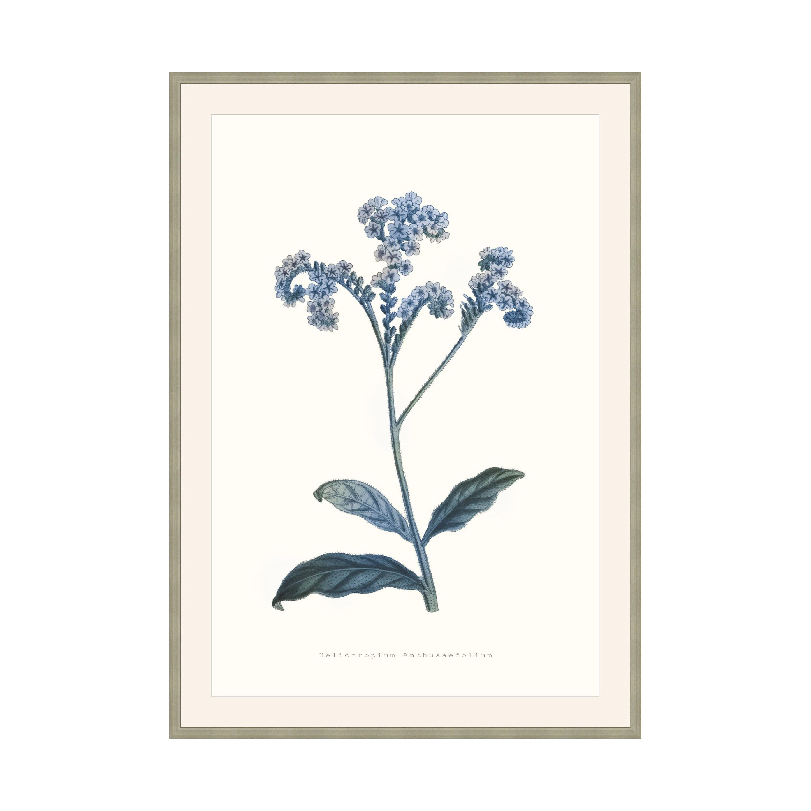Bouquet Blue 4 Print by Studio L57 Nouvelle | Perigold