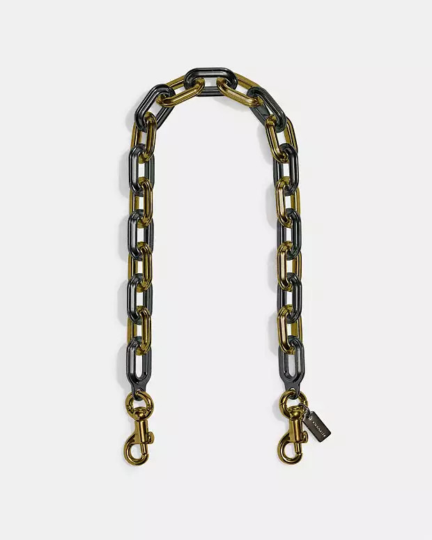 Link Chain Strap | Coach (US)