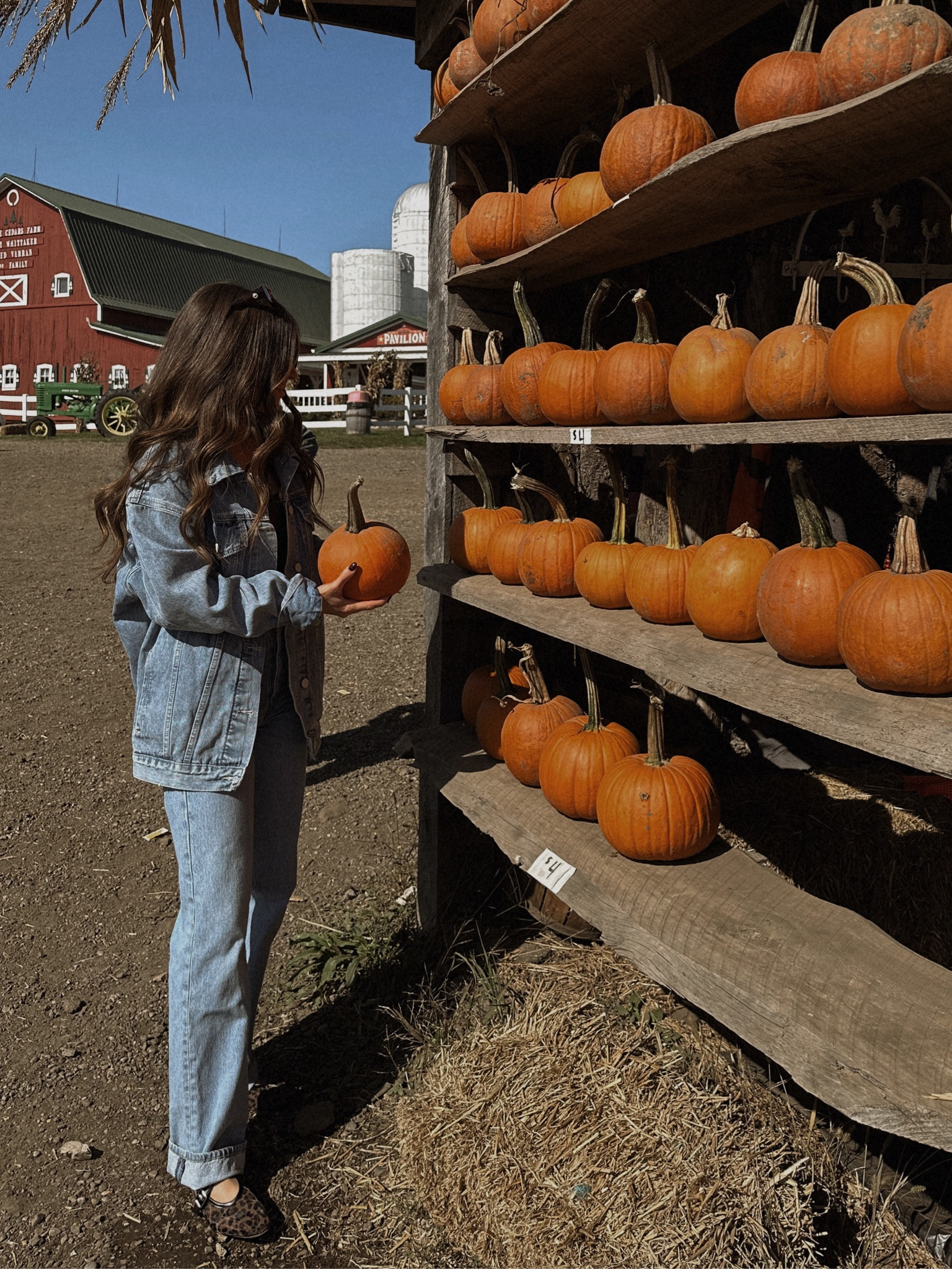 Cutest affordable leopard print baby doll flats and denim!🩵🐆


#LTKForyou #LTKWomensfashion #LTKWomensshoes #LTKShoes #LTKFallfashion #womensfashion #denim #womensdenim #outerwear #fallfashion #shoecrush #flatshoes #leapordprintshoes 

#LTKStyleTip #LTKU #LTKShoeCrush