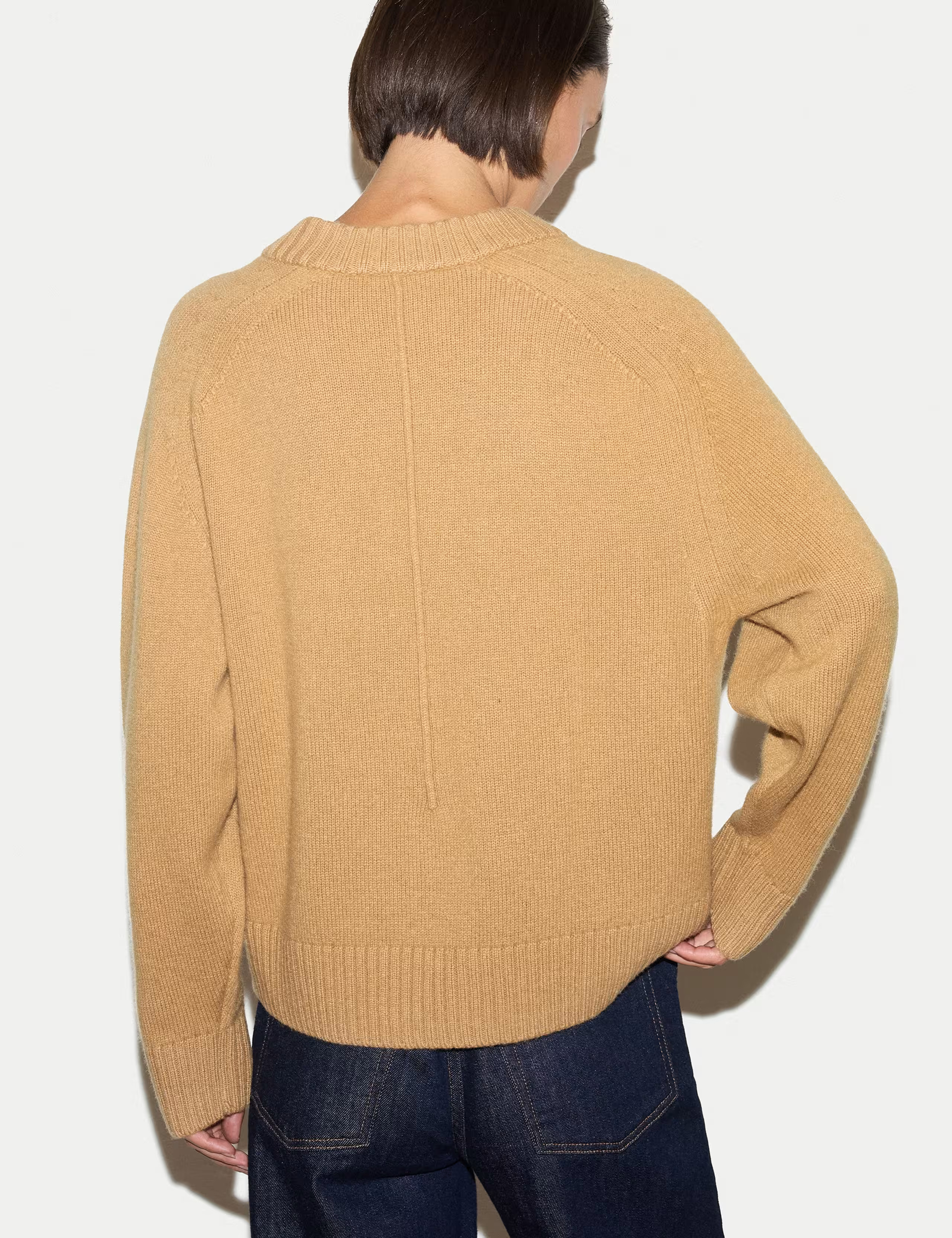 Wool Rich V-Neck Jumper | Marks & Spencer (UK)