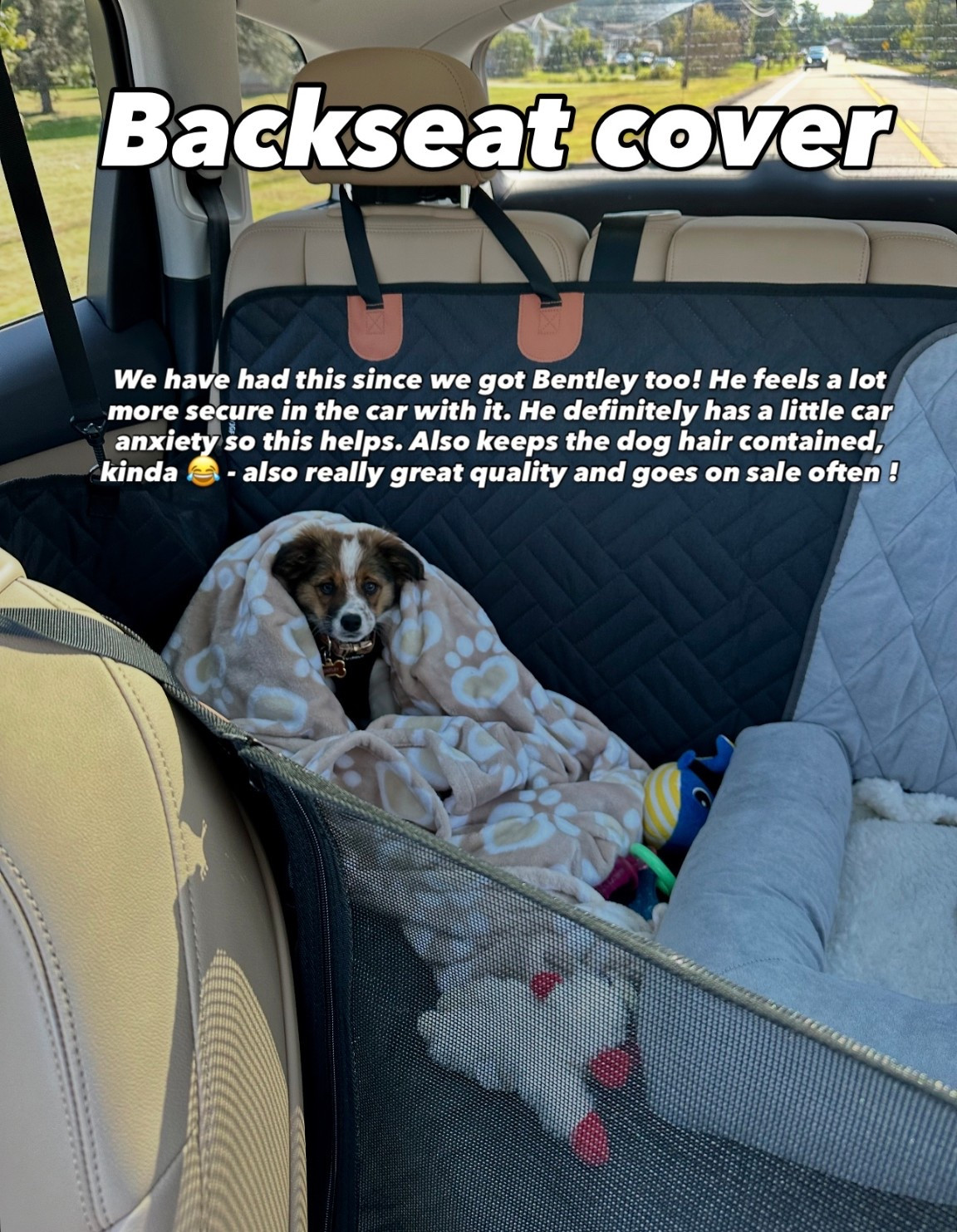 Backseat car cover for dogs 

#LTKTravel #LTKPets