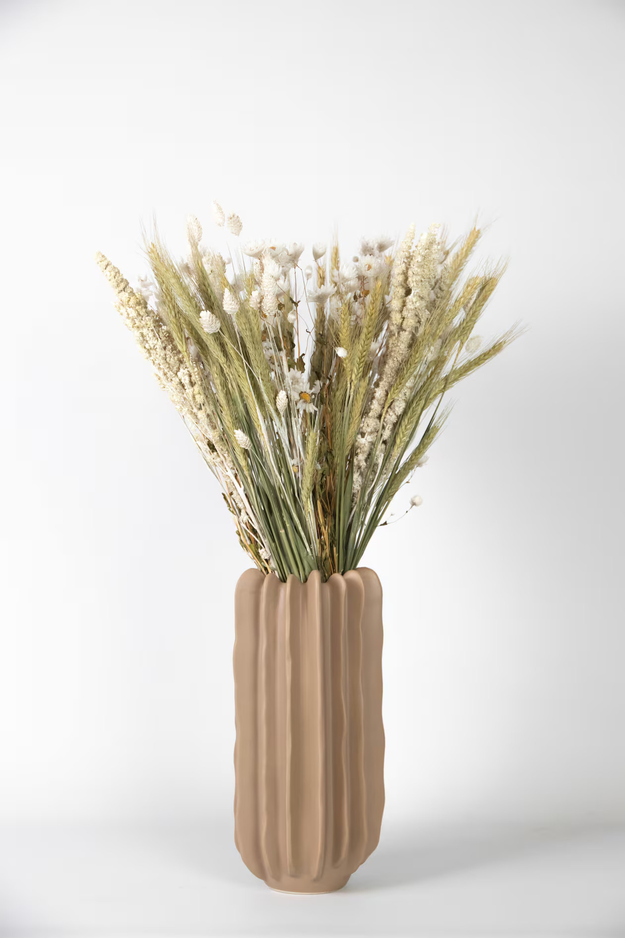 Plant in a Box | H&M (DE, AT, CH, NL, FI)